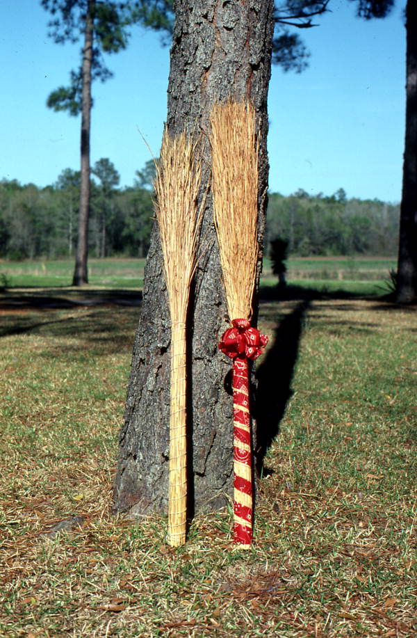 Brooms resting on a tree - Jefferson County, Florida