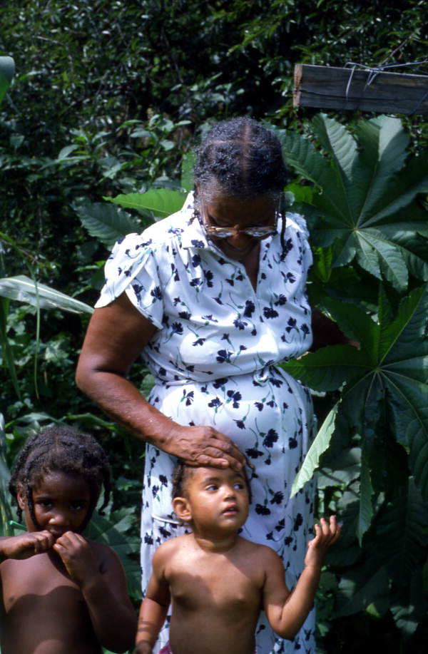 Jesse Mae Newsome collecting plants to make medicine - White Springs, Florida
