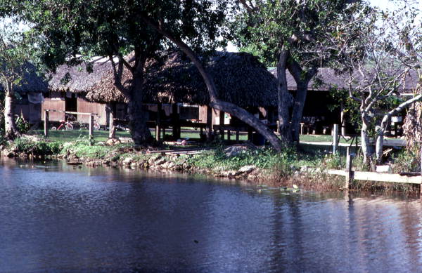 Chickees along the Tamiami Trail - Miccosukee Reservation, Florida