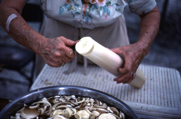 Bernice Livingston cutting swamp cabbage into a bowl - Mayo, Florida.