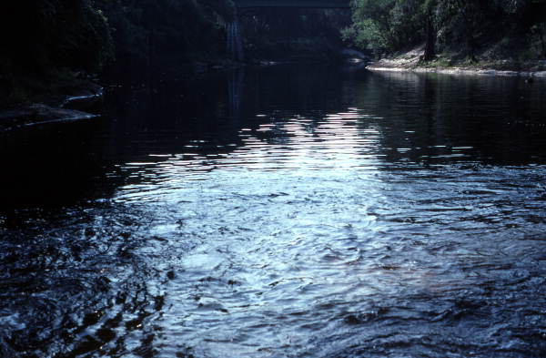 Suwannee River at White Springs - White Springs, Florida
