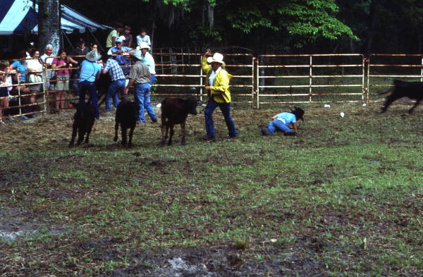 Cowboys at work - White Springs, Florida