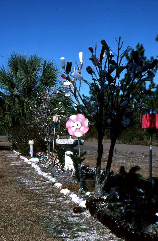 Trees with bottles attatched - Dunn's Creek, Florida.