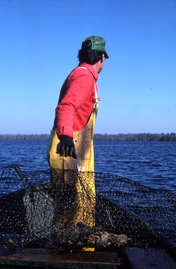 Tommy Noles preparing to put his fish trap into the water - Crescent City, Florida.