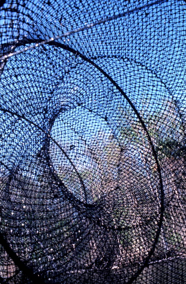 Inside of a fishing net - Palatka, Florida.
