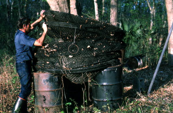 Old hoop net's resting on oil drums - Palatka, Florida.