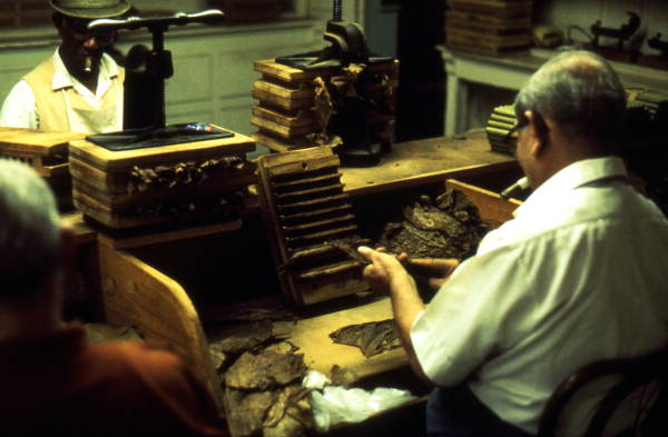 Cuban cigar makers at work - Ybor City, Florida