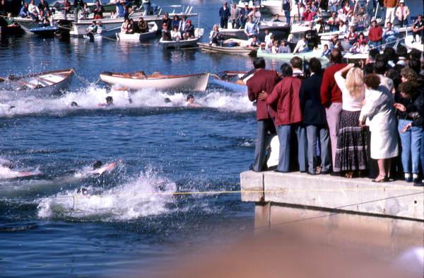 Boys competing in contest to retrieve an epiphany cross - Tarpon Springs, Florida