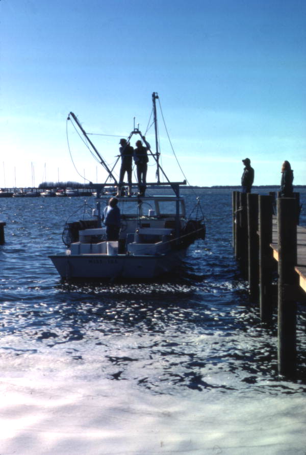 Shrimp boat leaving the docks - Ozona, Florida.