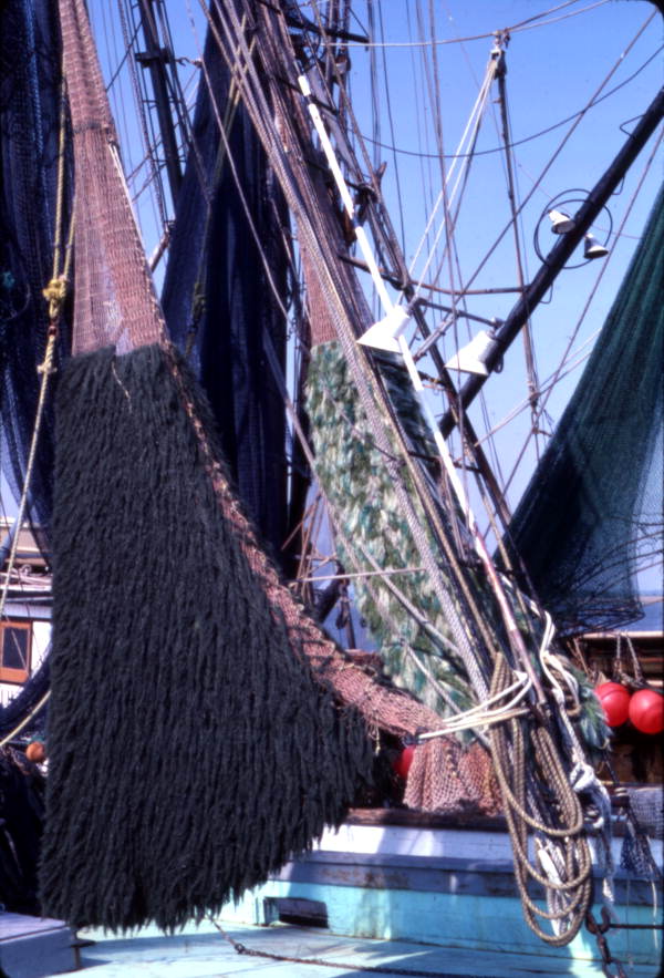 View of nets aboard shrimp boat - Springfield, Florida.