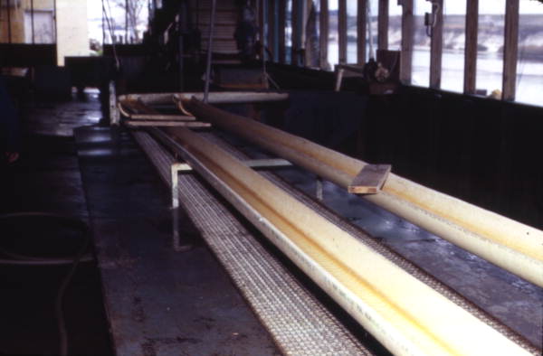 View of conveyor belt at Wood's Fresh & Frozen Shrimp - Port Saint Joe, Florida.