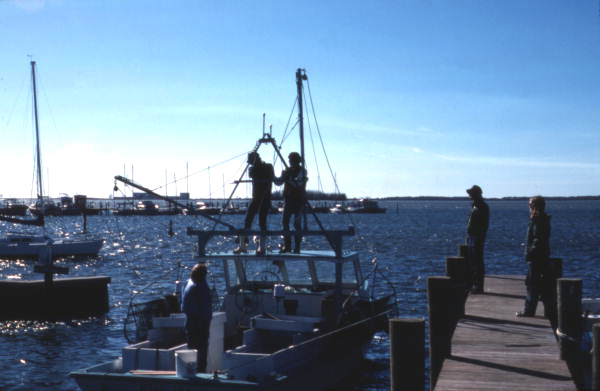 Shrimp boat leaving the docks - Ozona, Florida.