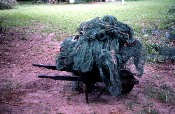 Torn net in a wheelbarrow - Jacksonville, Florida