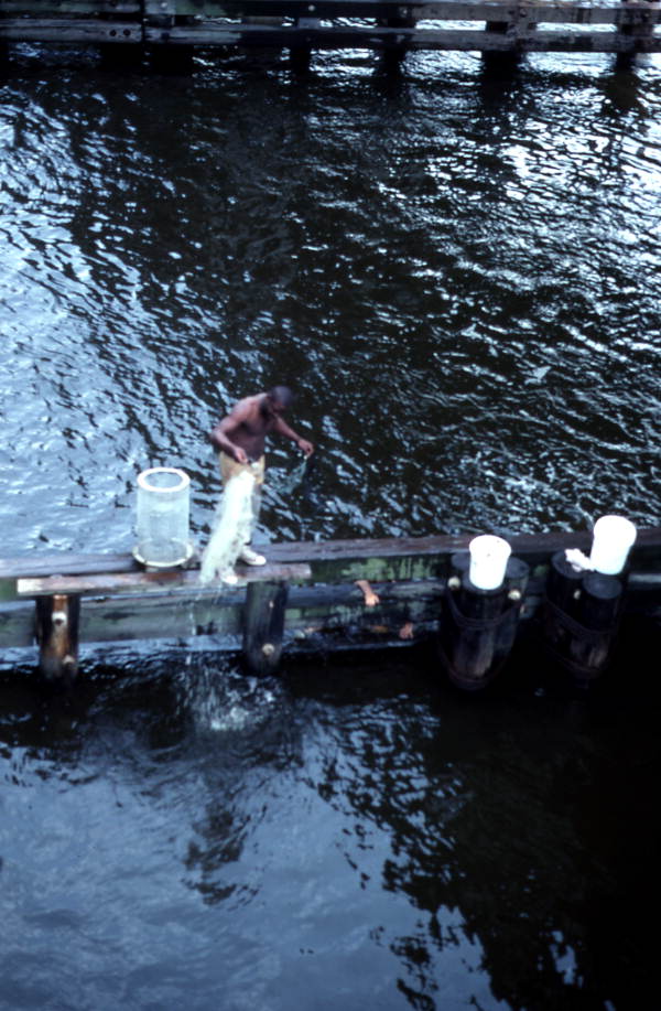 Cast net fishing on the Ribault River - Jacksonville, Florida