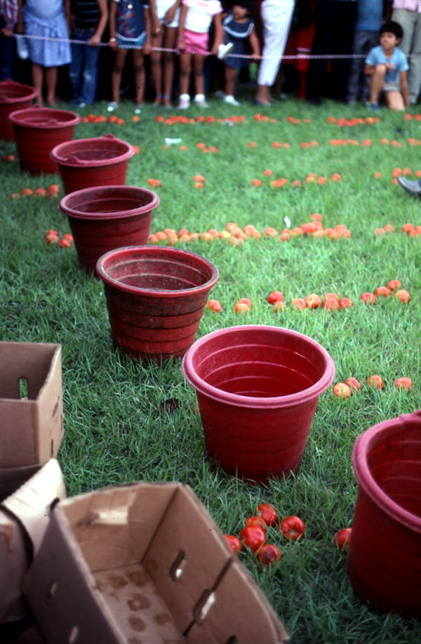 Tomatoes and barrels set up for tomato picking contest to celebrate Mexican Independence Day - Florida City, Florida