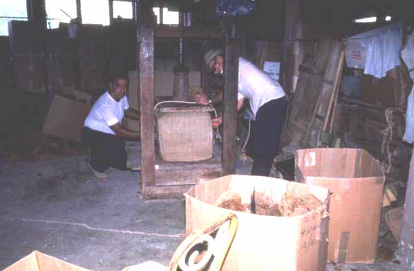 Packing sponges at Arrellano Brothers Sponge Distributors - Miami, Florida.
