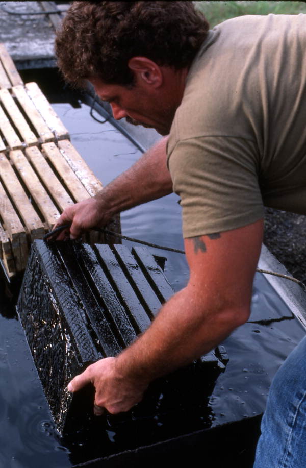 Man cleaning stone crab traps - Steinhatchee, Florida.