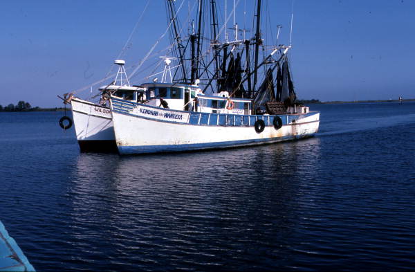 Two shrimp boats, one of which is disabled - Apalachicola, Florida.