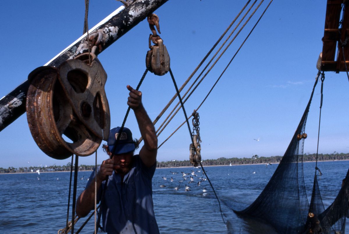 Lloyd's Seafood worker Dale Davis using a winch to bring his trawl net and boards onto the deck - Apalachicola Bay, Florida.