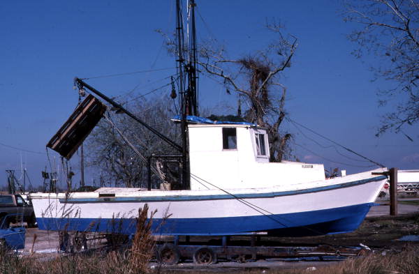 Bay shrimp boat at Mill Pond : Apalachicola, Florida.