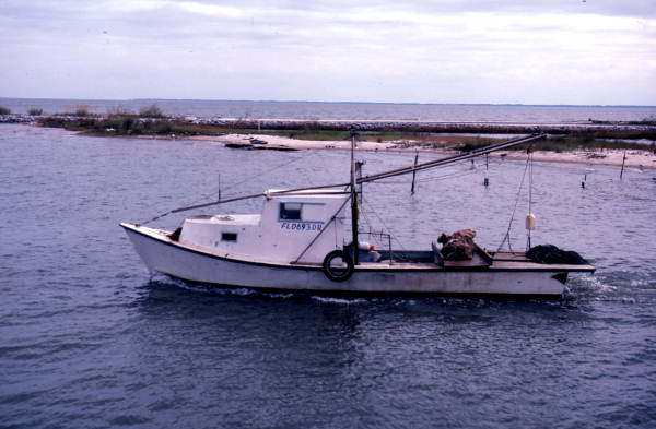 Oyster skiff in Eastpoint harbor - Eastpoint, Florida