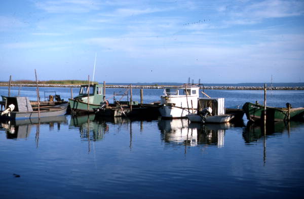Fishing boats docked at Eastpoint harbor - Eastpoint, Florida