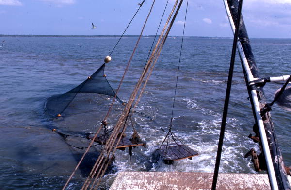 Trawl net approaches stern - Apalachicola Bay, Florida.