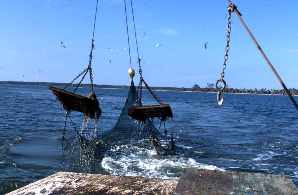 Trawl net emerges from ocean - Apalachicola Bay, Florida.