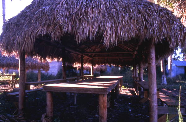 Traditional Seminole chickees - Brighton Reservation, Florida
