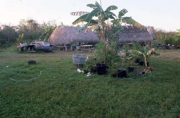 Family compound of Rosie and Alice Billie - Ochopee, Florida