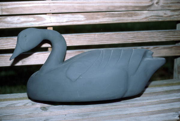 Blue billed duck decoy made by Mike Berg - Jacksonville, Florida