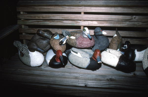 Duck decoys made by Mike Berg - Jacksonville, Florida