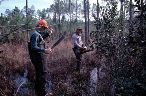 Neil Brooks and Robert Rudd looking for cypress to cut down for furniture - Bronson, Florida