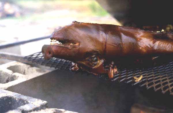 Lechon being barbecued - Jacksonville, Florida