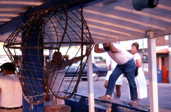 Sponge gathering equipment on a boat - Tarpon Springs, Florida