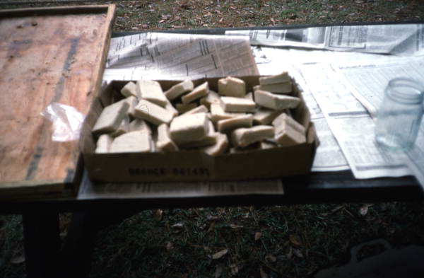 Lye soap - White Springs, Florida.
