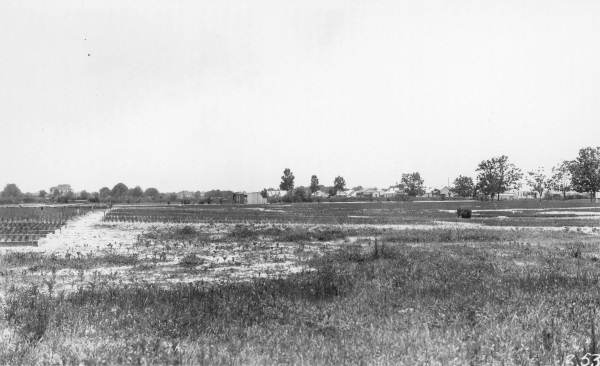 Seed beds