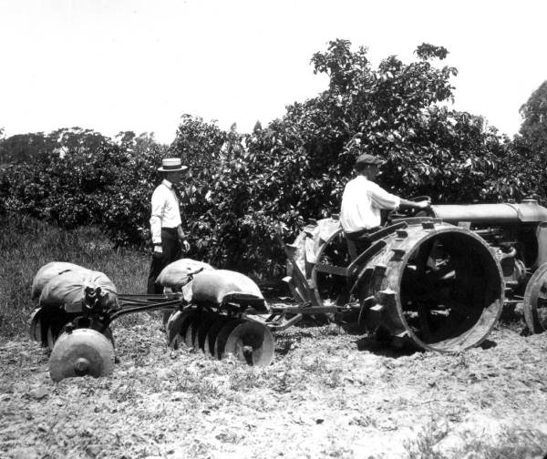Plowing - Winter Haven, Florida
