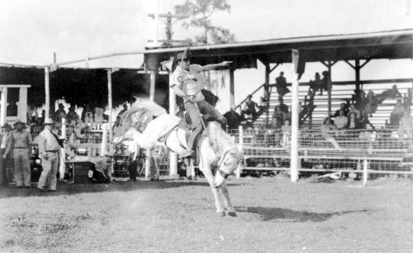 Rodeo action - Arcadia, Florida