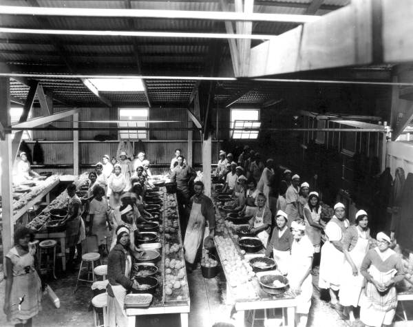 Interior of Robert Brothers, Inc., canning plant