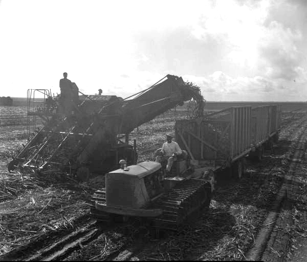 View of workers using agricultural machinery.