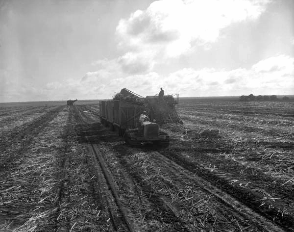 View of workers using agricultural machinery.