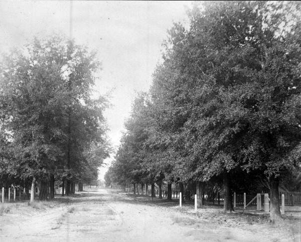 Orange Street - Apopka, Florida