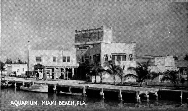 Aquarium - Miami Beach, Florida.