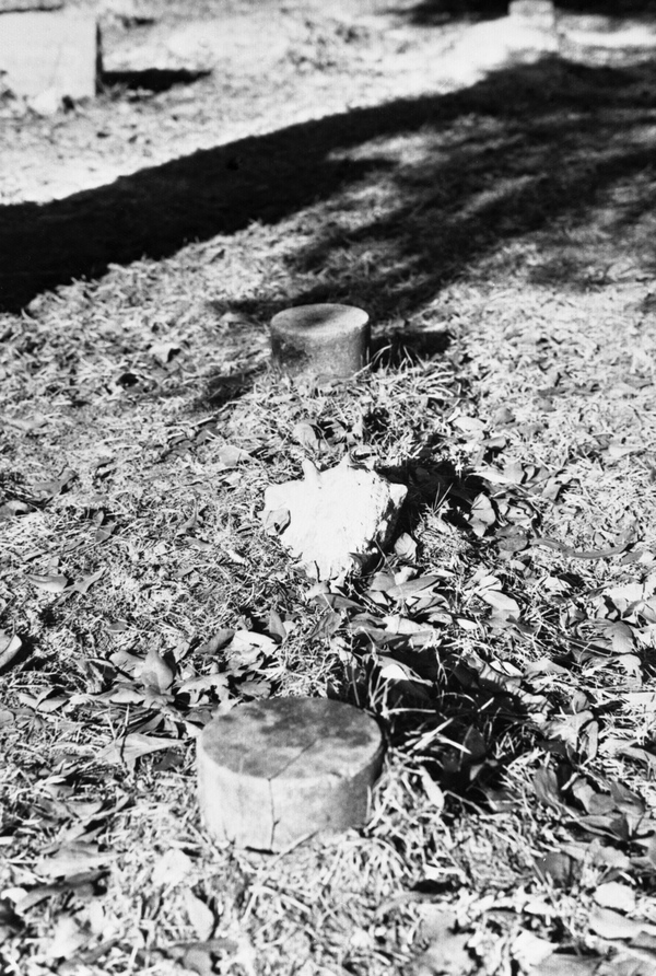 Grave with conk shell at Macedoni Cemetery - Baker County, Florida