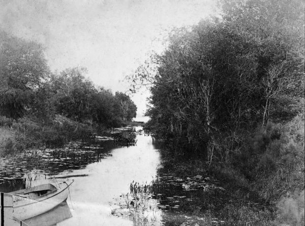 Canal between lakes Lizzie and Alligator - Osceola County, Florida