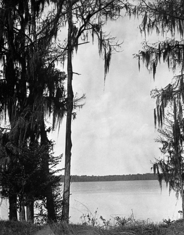 Sunset on Cherry Lake - Cherry Lake, Florida