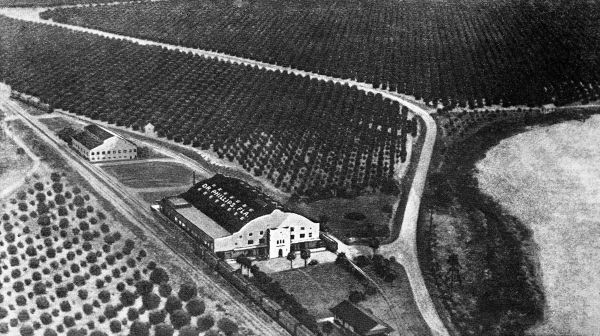 Aerial view of packing house and grove at Doctor Phillips - Florida