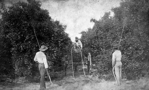 Spraying grove in Putnam County - Florida