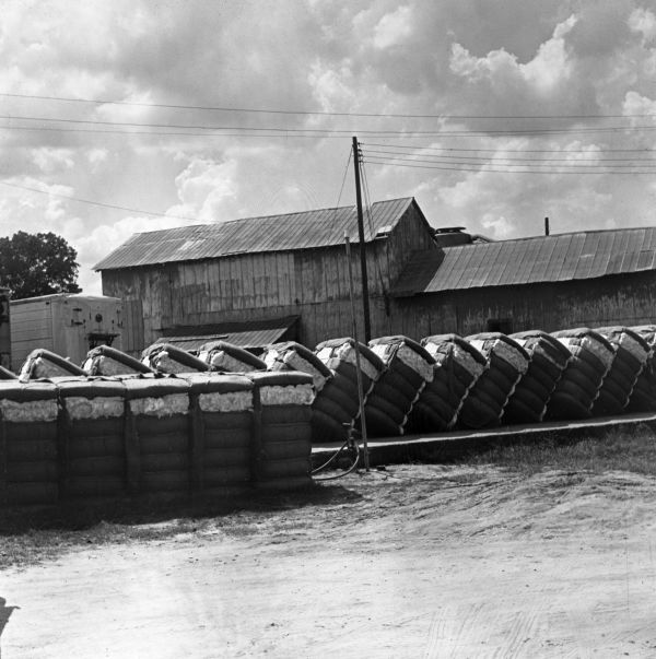 Baled cotton - Jackson County, Florida